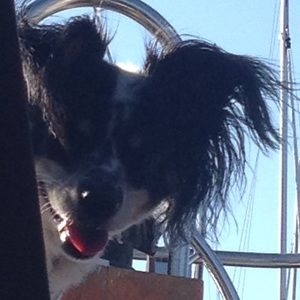 Meet your Posher, Susette